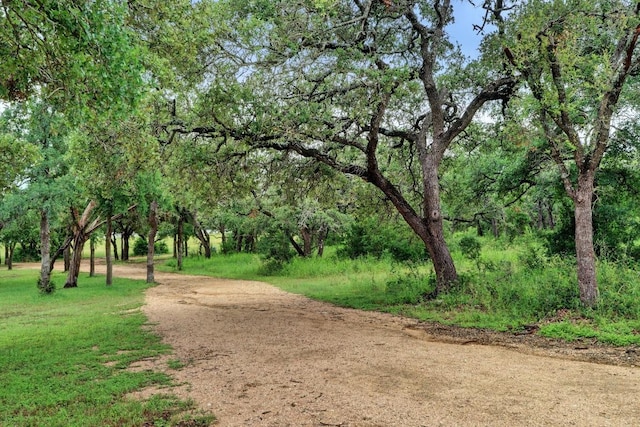 11400 W Parmer Ln Unit 75, Cedar Park, TX 78613 - view of home's community