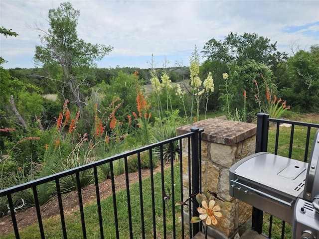 11400 W Parmer Ln Unit 75, Cedar Park, TX 78613 - balcony with a forest view