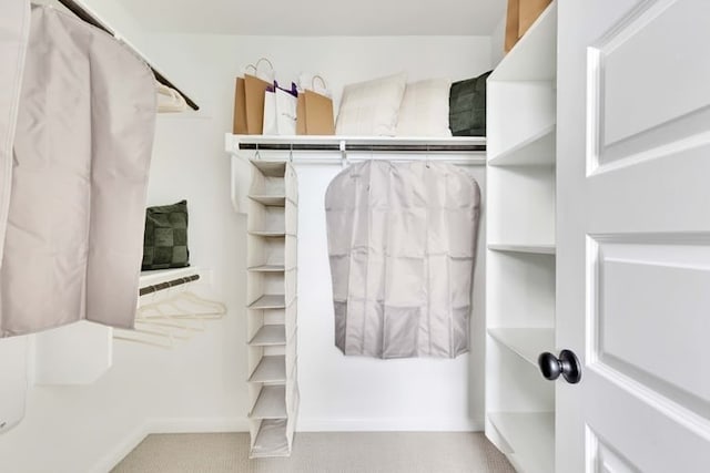 2231 Oscar Eli Pl, Round Rock, TX 78665 - spacious closet featuring carpet flooring