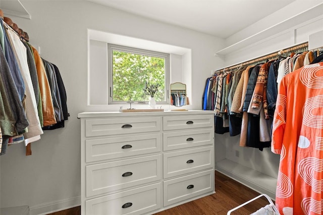 8540 Adirondack Trl Unit 21, Austin, TX 78759 - spacious closet featuring dark wood-style flooring