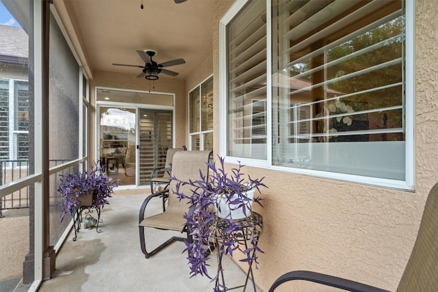 119 Daisy Path, Georgetown, TX 78633 - photo 32