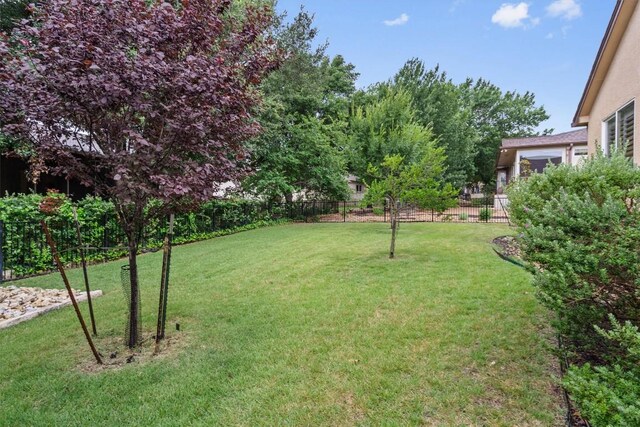 119 Daisy Path, Georgetown, TX 78633 - photo 38