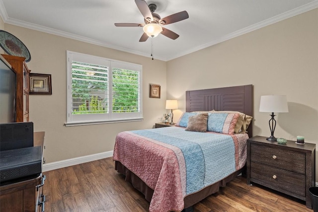 119 Daisy Path, Georgetown, TX 78633 - photo 24