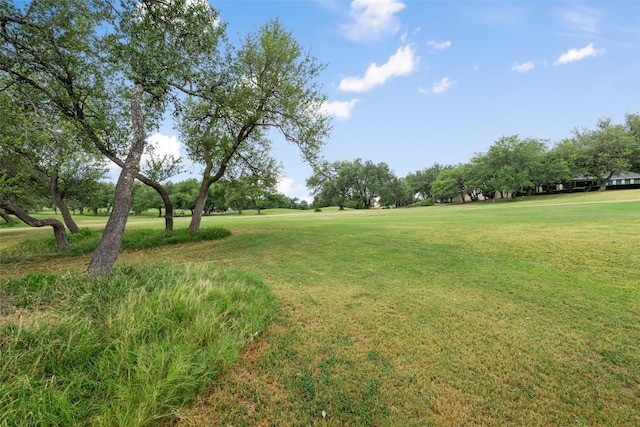 125 Long Wood Ave, Lakeway, TX 78734 - view of green lawn