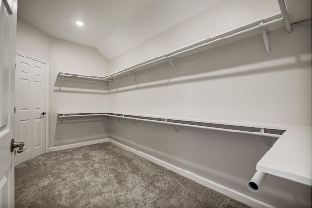 309 Camperdown Elm Dr, Austin, TX 78748 - walk in closet with carpet