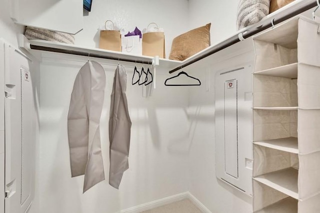 2420 Ekvall Dr, Round Rock, TX 78665 - view of walk in closet