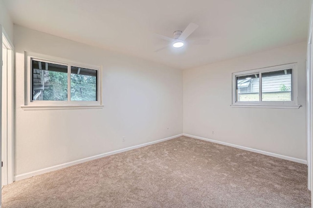 3501 Fleetwood Dr, Austin, TX 78704 - photo 25