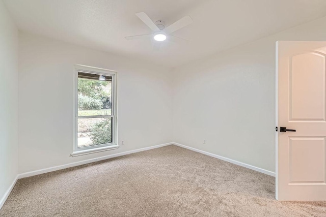 3501 Fleetwood Dr, Austin, TX 78704 - photo 28