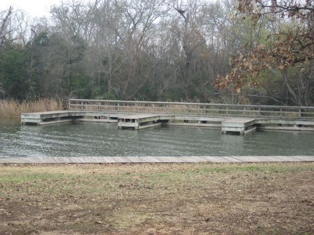 169 Pine Song, Bastrop, TX 78602 - photo 20
