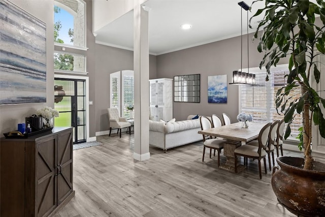 291 Torrington Dr, Austin, TX 78737 - living room with crown molding, light wood-style flooring, a high ceiling, and recessed lighting