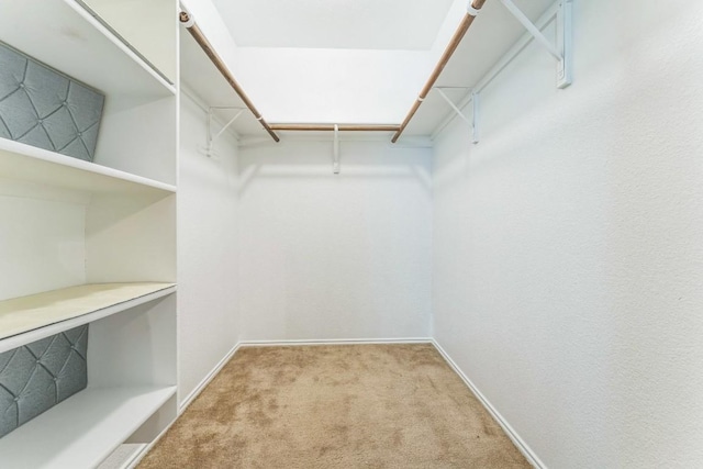 9004 Postvine Dr, Austin, TX 78724 - walk in closet with carpet
