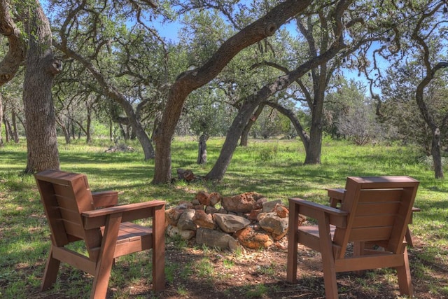 830 Palomino Ln, San Marcos, TX 78666 - view of grassy yard