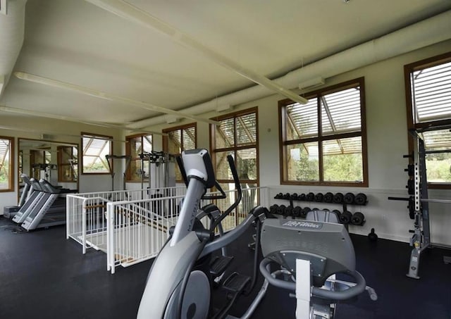 136 Firefall Ln, Austin, TX 78737 - view of gym