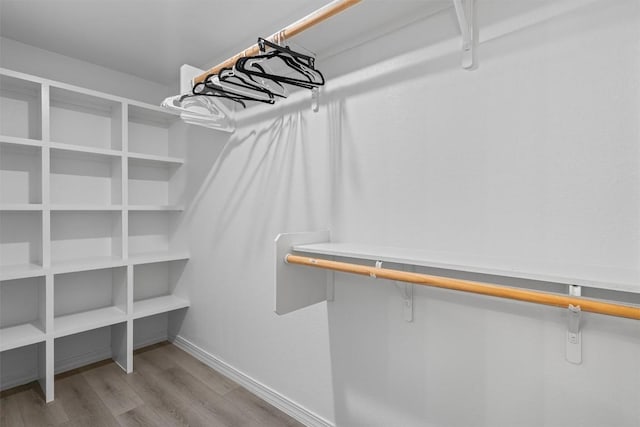 1509 Strickland Dr, Austin, TX 78748 - walk in closet with light wood-style floors