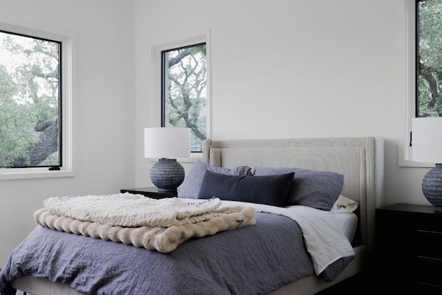 4100 Mcbrine Pl, Austin, TX 78746 - bedroom featuring multiple windows