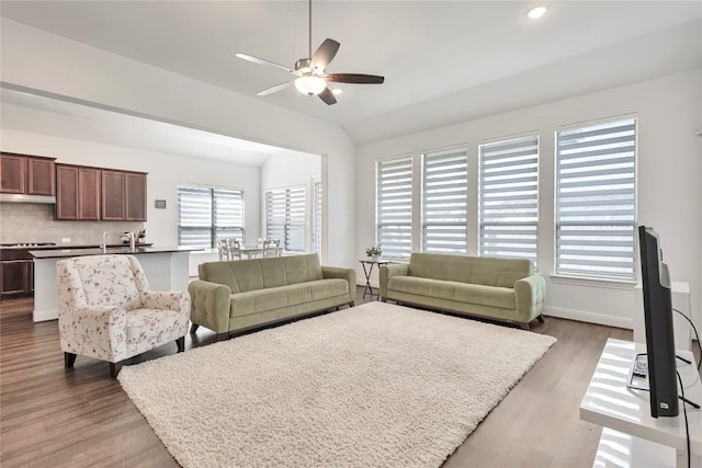 817 Clear Spring Ln, Leander, TX 78641 - living area with a ceiling fan, wood finished floors, vaulted ceiling, and recessed lighting