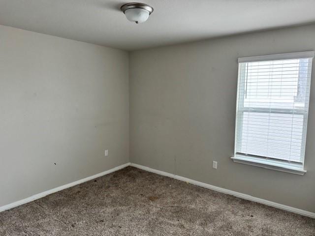 6509 Mallord Brook Bnd, Buda, TX 78610 - photo 11