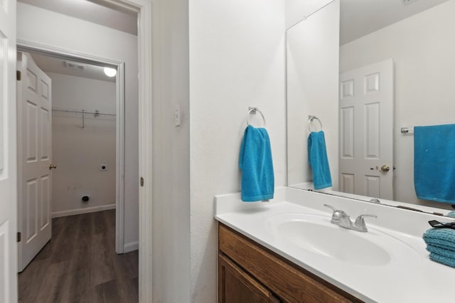 107 Chandler View Trl, Round Rock, TX 78665 - bathroom with vanity, wood finished floors, and a spacious closet
