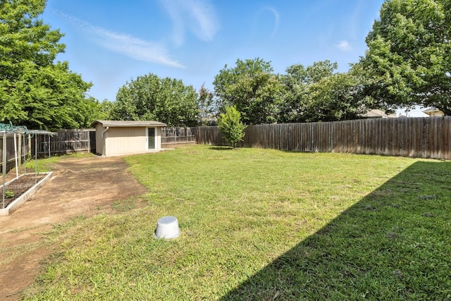 107 Chandler View Trl, Round Rock, TX 78665 - fenced backyard with a storage unit