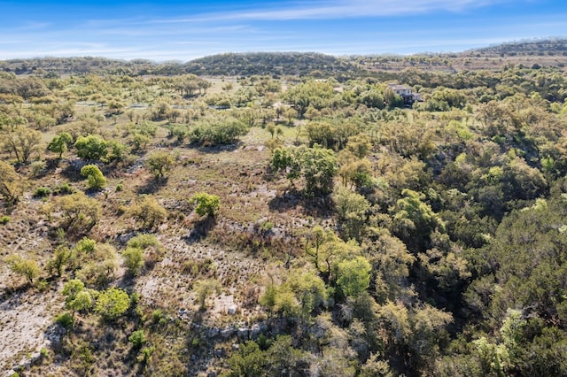 21411 Hamilton Pool Rd, Dripping Springs, TX 78620 - photo 30