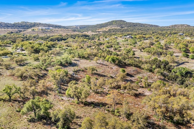 21411 Hamilton Pool Rd, Dripping Springs, TX 78620 - photo 31