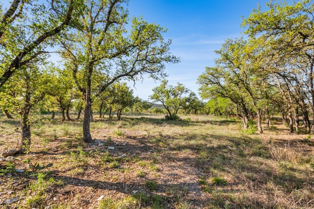 21411 Hamilton Pool Rd, Dripping Springs, TX 78620 - photo 39