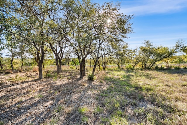 21411 Hamilton Pool Rd, Dripping Springs, TX 78620 - photo 34
