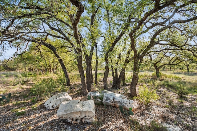 21411 Hamilton Pool Rd, Dripping Springs, TX 78620 - photo 35