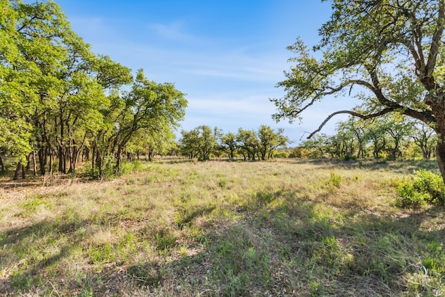 21411 Hamilton Pool Rd, Dripping Springs, TX 78620 - photo 36