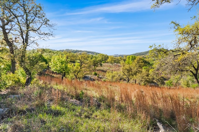 21411 Hamilton Pool Rd, Dripping Springs, TX 78620 - photo 38