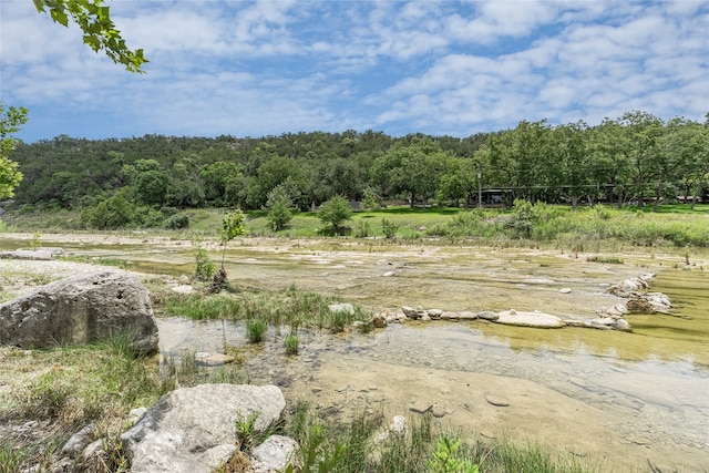 2308 Flite Acres Rd, Wimberley, TX 78676 - view of wooded area