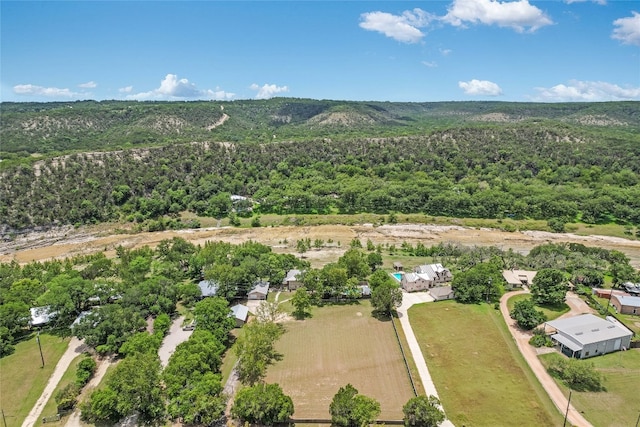 2308 Flite Acres Rd, Wimberley, TX 78676 - aerial view of a forest