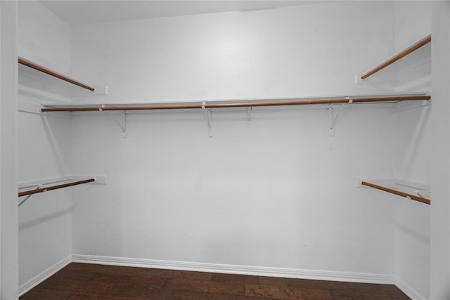 1601 Michael Robert Way, Cedar Park, TX 78613 - walk in closet featuring dark wood-style floors