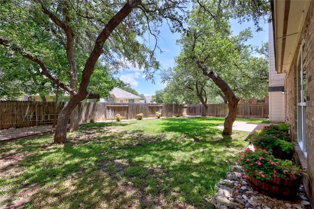 1601 Michael Robert Way, Cedar Park, TX 78613 - view of fenced backyard