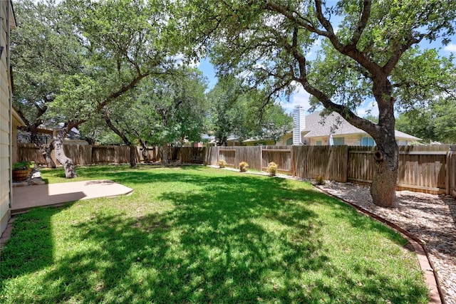 1601 Michael Robert Way, Cedar Park, TX 78613 - fenced backyard with a patio area