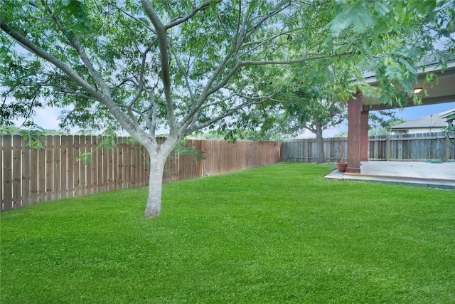 180 Beech Dr, Kyle, TX 78640 - photo 30