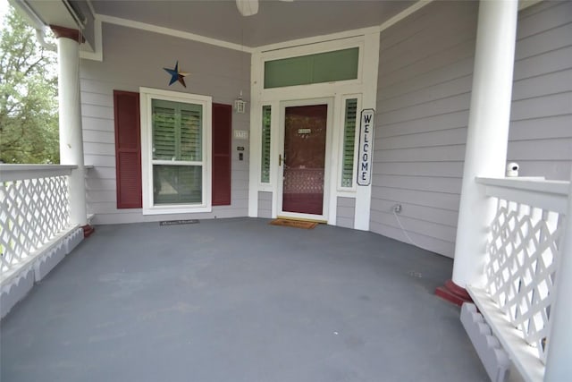 338 Witte, Kyle, TX 78640 - photo 4