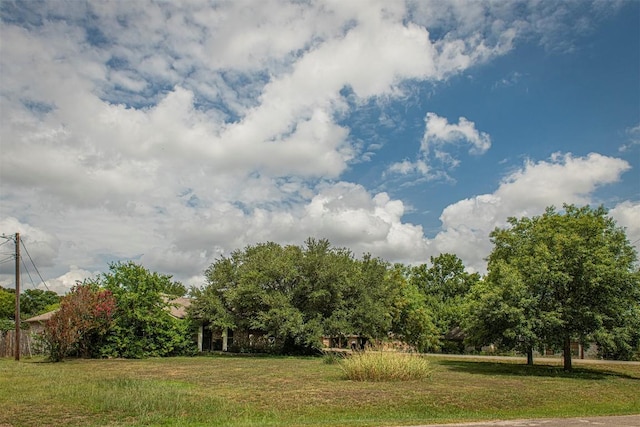 402 Sunflower Cv, Kyle, TX 78640 - photo 37