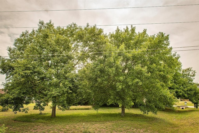 402 Sunflower Cv, Kyle, TX 78640 - photo 36