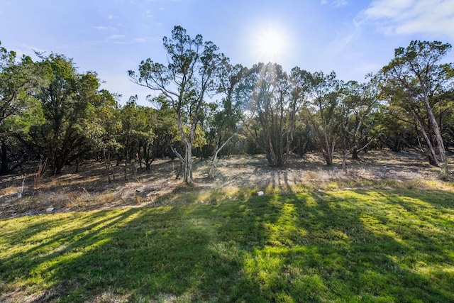 4612 Destination Way, Jonestown, TX 78645 - view of green lawn