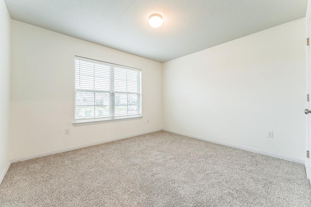 13609 Sugar Bush Path, Manor, TX 78653 - photo 9