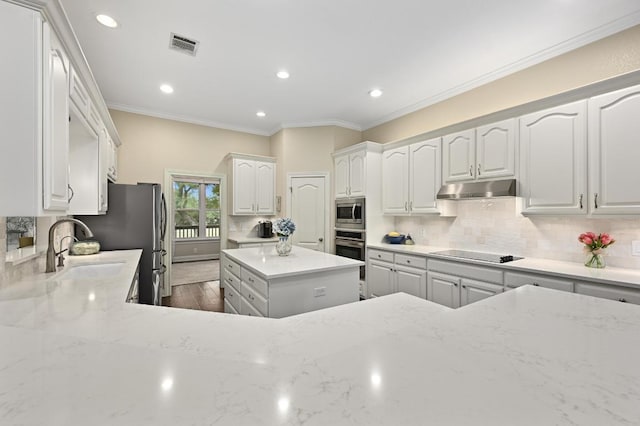 13410 Saddle Back Pass, Austin, TX 78738 - kitchen featuring appliances with stainless steel finishes, under cabinet range hood, light stone counters, decorative backsplash, and recessed lighting