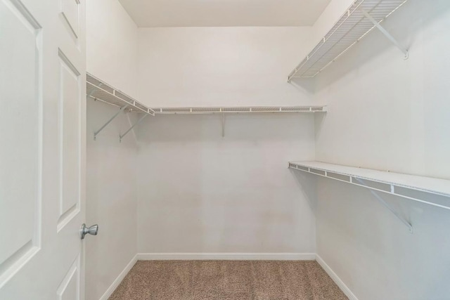 2320 Gracy Farms Ln Unit 522, Austin, TX 78758 - walk in closet featuring carpet floors