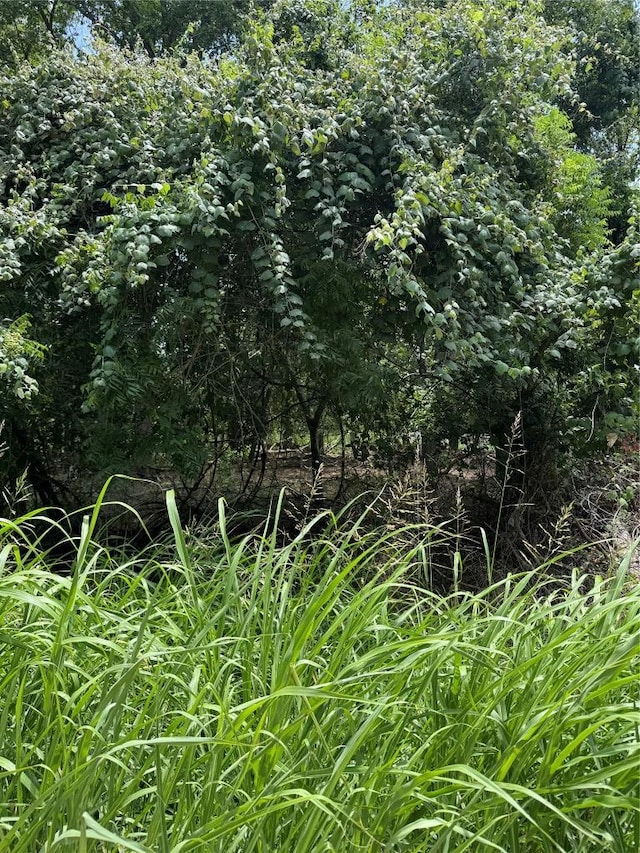 LOT902 Kahana Ln, Bastrop, TX 78602