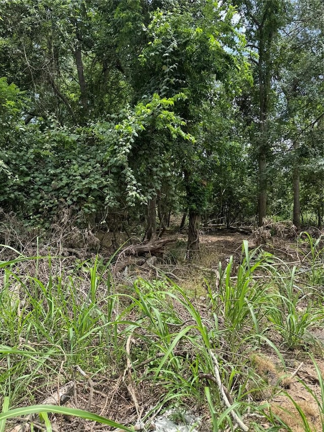 LOT902 Kahana Ln, Bastrop, TX 78602
