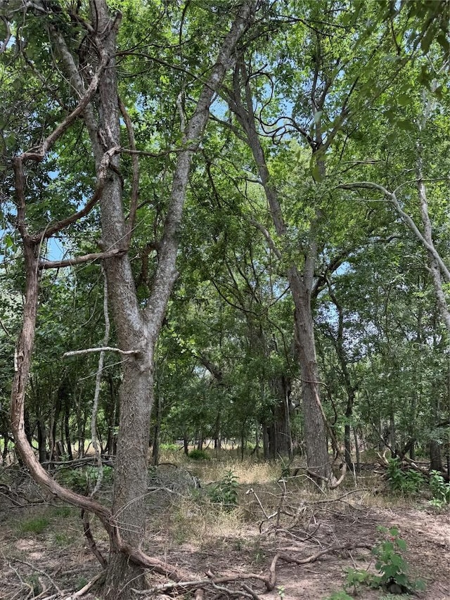 LOT902 Kahana Ln, Bastrop, TX 78602
