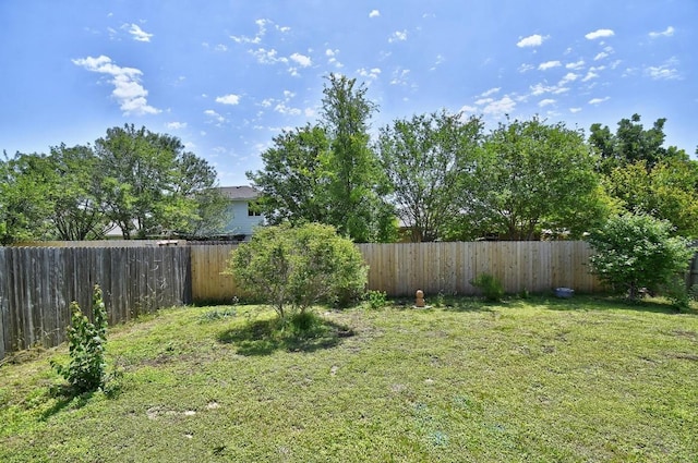 106 Wild Plum, San Marcos, TX 78666 - view of fenced backyard