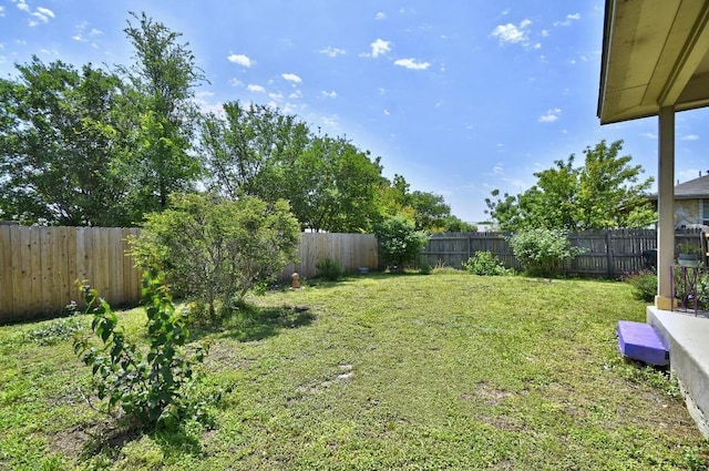 106 Wild Plum, San Marcos, TX 78666 - view of fenced backyard