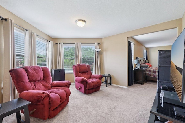 1124 Calla Lily Blvd, Leander, TX 78641 - living room featuring carpet floors and baseboards