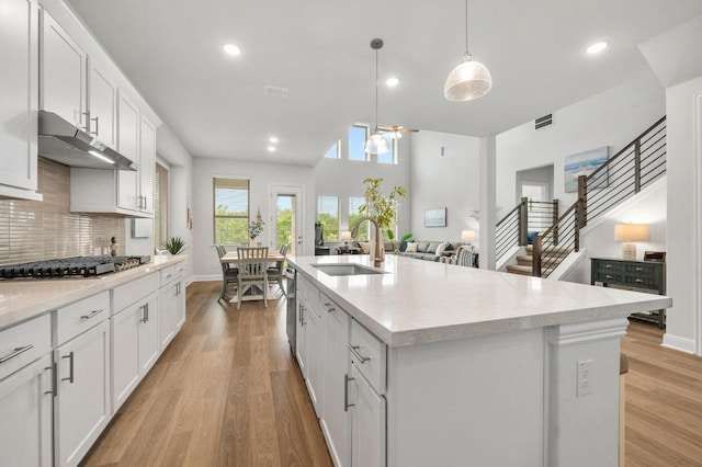 913 Landing Ln, Leander, TX 78641 - kitchen featuring stainless steel appliances, under cabinet range hood, light wood-type flooring, tasteful backsplash, and recessed lighting